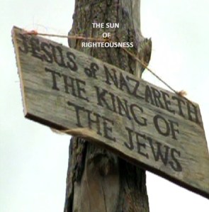 Healing Through The Tree, PDI