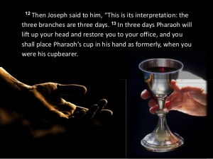 Cup Pressed of Red Wine for King, PD Image