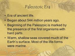Paleozoic Points, PDI