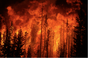 Fires in the Sky, PDI