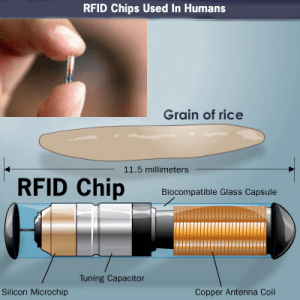 FRID Chip Up Close And Personal, PDI