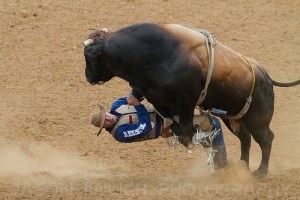 To Ride A Beast, PDI