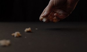 Breadcrumb Effect PDI