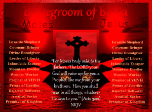 new bridegroom of blood