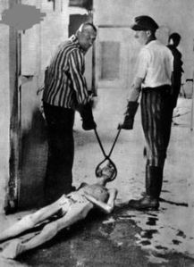 The Rage of the Beast, PDI